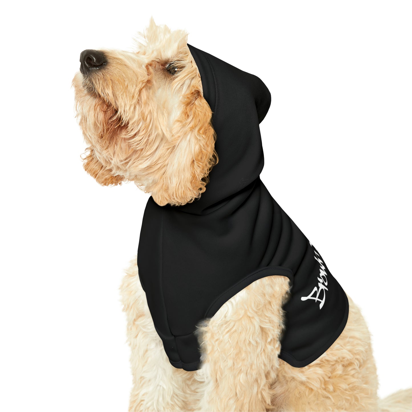 Classic Stylish Dog Hoodie