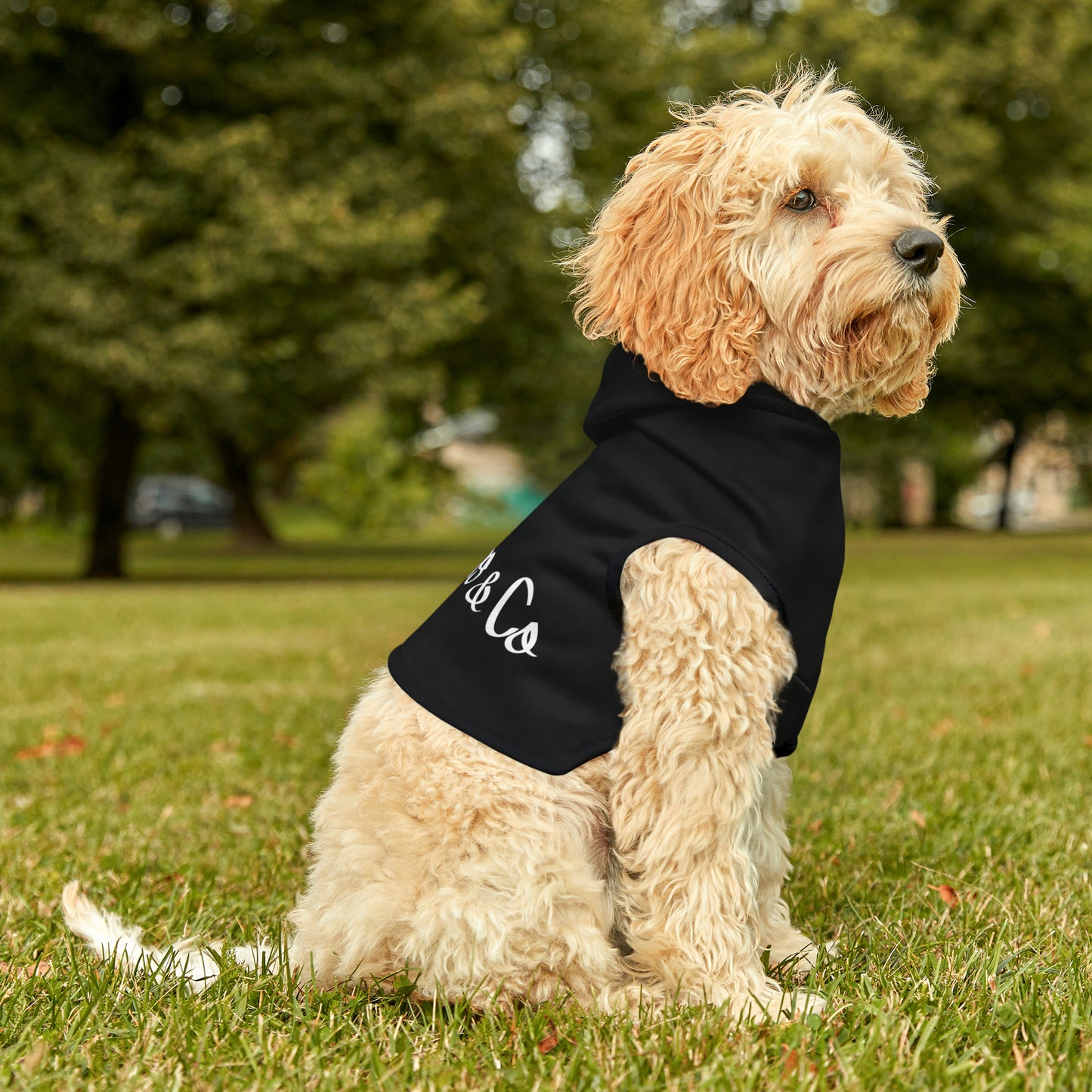 Classic Stylish Dog Hoodie